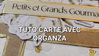 TUTO CARTE AVEC ORGANZA [upl. by Eiddam]