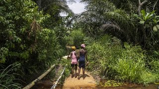 RDC  linquiétude face au développement potentiel du forage pétrolier [upl. by Sivle]