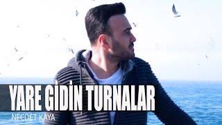 Necdet Kaya  Yare Gidin Turnalar Akustik Versiyon Video Klip [upl. by Abrahan]