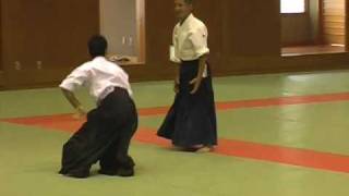 Takeda Shihan 8th Dan Demo at Ofuna Japan July 4th 2010 [upl. by Ennaeed]