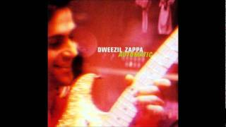 Dweezil Zappa Habanera [upl. by Enirehtacyram]