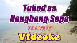 Tubod Sa Naughang Sapa Karaoke Version Luz Loreto [upl. by Trace]