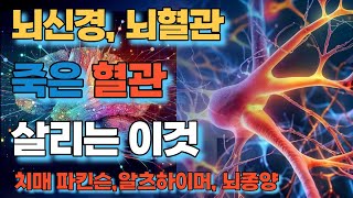 죽은 혈관도 살리는 이것 뇌혈관 뇌신경 치매 파킨슨 알츠하이머 뇌종양에 필수  칠레 콘셉시온대학 [upl. by Dyane]