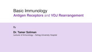 Dr Tamer Soliman  Basic Immunology  Antigen Recognition and VDJ Recombination [upl. by Sidnak]