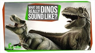 What Did Dinosaurs Really Sound Like [upl. by Bradeord698]