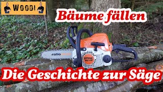 Stihl MS 170 im Wald  Bäume fällen  Die Geschichte zur Motorsäge  Woodi [upl. by Ruthi198]