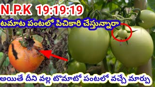 NPK191919 Uses in telugu NPK plant growth fertilizer in telugu fertilizer NPK agriculture [upl. by Niltiak759]