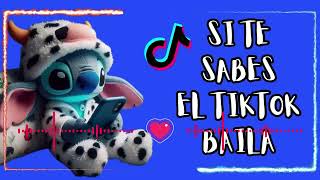 SITE SABES EL TIKTOK BAILA 2024 💌 [upl. by Suoirrad]