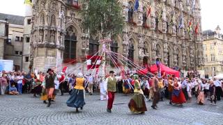 Volksdansgroep Reuzegom en ’t Havermeuleke dansen de Meyboom in  9 augustus 2014 [upl. by Uhsoj]