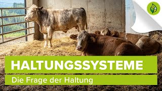 Wie lebt das Rind – Die Frage der Haltung [upl. by Chapel634]