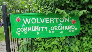 wolverton community orchard today guys in miltonkeynes 2072024 [upl. by Applegate709]