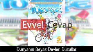 Dünyanın Beyaz Devleri Buzullar Metni Etkinlik Cevapları 5 Sınıf Türkçe [upl. by Ellives70]