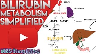 Bilirubin Metabolism Simplified [upl. by Gelman]