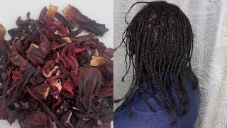 HIBISCUS FOR EXTREME HAIR GROWTH 💯 HOW TO MAKE HIBISCUS WATER FOR EXTREME HAIR GROWTH 💯🔥youtube [upl. by Elehcin]