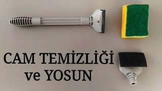 Akvaryum Camı Temizliği ve Yosun [upl. by Madalena]