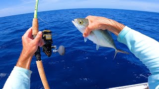 Epic Sight Fished Florida Marlin  This Bait Lasts About Two Seconds Tuna Catch n Cook [upl. by Htebilil]