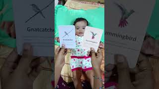 Birds🕊🦜🦚 flash cards identified by my princess👸 5months babyAmmuSUMAIRA💕💕babygirl angel [upl. by Liagabba854]