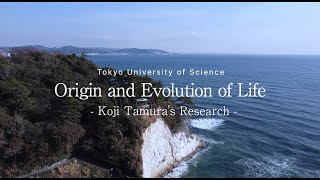 Origin and Evolution of Life Koji Tamuras Research [upl. by Aihcela205]