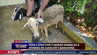 FEDA capacitan y donan animales a jóvenes en Juancho y Barahona [upl. by Howlend]