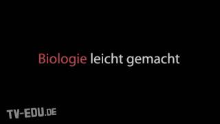 Biologie leicht gemacht [upl. by Pradeep954]