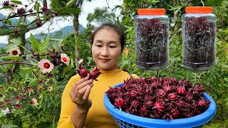 Harvesting artichokes for sale at the market  Preserving artichokes year round  Ly Thi Tam [upl. by Say258]