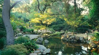 Descanso Gardens Miniature Train Ride 🚂 La Cañada CA [upl. by Reeva372]