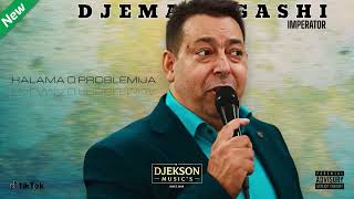 ✩DJEMAIL GASHI 20242025✩ New E❌CLUSIVE 2 ✸Halama O Problemija✸ djeksonmusics djemail [upl. by Yekcin]