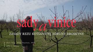 Sady a vinice I Zásady rezu kotlovitej koruny broskyne [upl. by Body268]