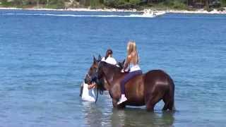 Liskariding Exclusive riding tours in Istra and Dalmatia [upl. by Sinnard734]