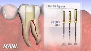 Mani Silk Demonstration amp File Sequence [upl. by Anaiek511]