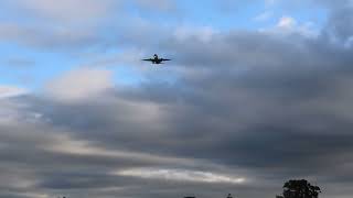 Sydney Plane Spotting  40 mins of watching planes go by overhead in Sydney 4K [upl. by Arnst433]