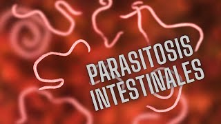 PARASITOS INTESTINALES HELMINTOS PARA ESTUDIANTES PARTE 1 [upl. by Millan]