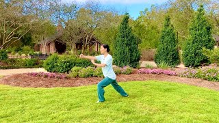 Movements 2124 of Simplified 24 Movements TaijiQuan  Burden Garden martialarts kungfu taichi [upl. by Aikcir996]