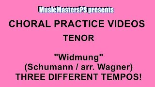 quotWidmungquot Schumannarr Douglas E Wagner Tenor PRACTICE VIDEO THREE different tempos [upl. by Grand]