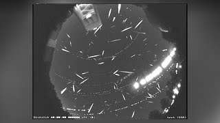 Geminid meteor shower will peak this week [upl. by Woothen]