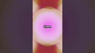 The Phases of Mitosis in 60 Seconds facts science biology microscope education EvoMindm2b [upl. by Eshman]