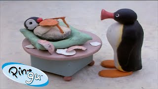 Pinga is Born 🐧  Pingu  Official Channel  Cartoons For Kids [upl. by Okajima573]