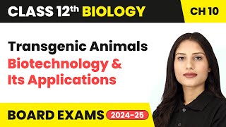 Transgenic Animals  Biotechnology and Its Applications  Class 12 Biology Chapter 10  CBSE 202425 [upl. by Pathe]