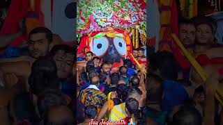 Jagatara jamidar odia song jagatarjamidar youtuber trendingshorts viralvideo bollywood [upl. by Brace]