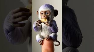 Baby Monkey Loves Bananas shortvideo funny [upl. by Rudin]