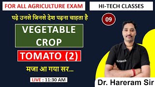 OLERICULTURE 09  VEGETABLE CROP  TOMATO PART  2  FOR ALL AGRICULTUE EXAM [upl. by Tobye]