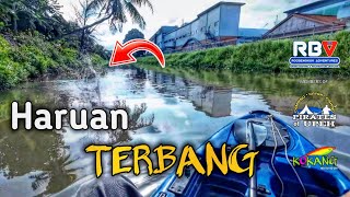 MANCING HARUAN PEMINTAAN ISTERI  BEST PULAK GUNA KAYAK [upl. by Zoara628]