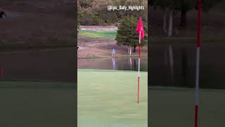 Unbelievable Golf Shot 😲🏌️golf amazing shorts [upl. by Pauwles120]