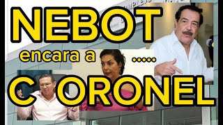 ABOGADO JAIME NEBOT se defiende de la muy pulcra risueña y deslenguada MARIA JOSEFA CORONEL [upl. by Wightman311]