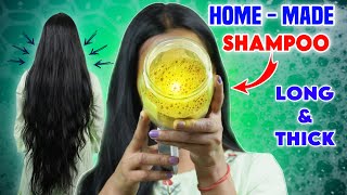 Homemade Natural Herbal Shampoo How To Make Shampoo At Home Shampoo For Hair Growth [upl. by Nolak402]