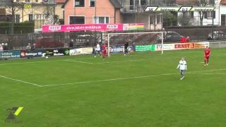 Bahlinger SC vs 1 FC Heidenheim 1846 II  Zusammenfassung [upl. by Kcirreg]