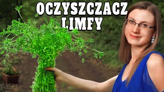 Naturalne ODMŁODZENIE Ta Roślina Wydłuża Życie [upl. by Amiaj]