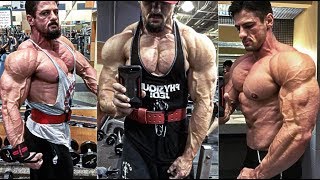 THE MOST AESTHETIC GUY Matt Ramseier Workout [upl. by Ayela]