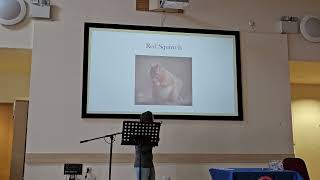 Local Wildlife Presentation with Julie Mailer Auchterarder Guild 150224 Church Hall [upl. by Anemolif640]