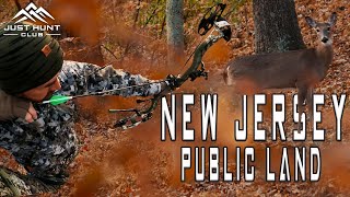 Bow Hunting Public Land in New Jersey [upl. by Tare]